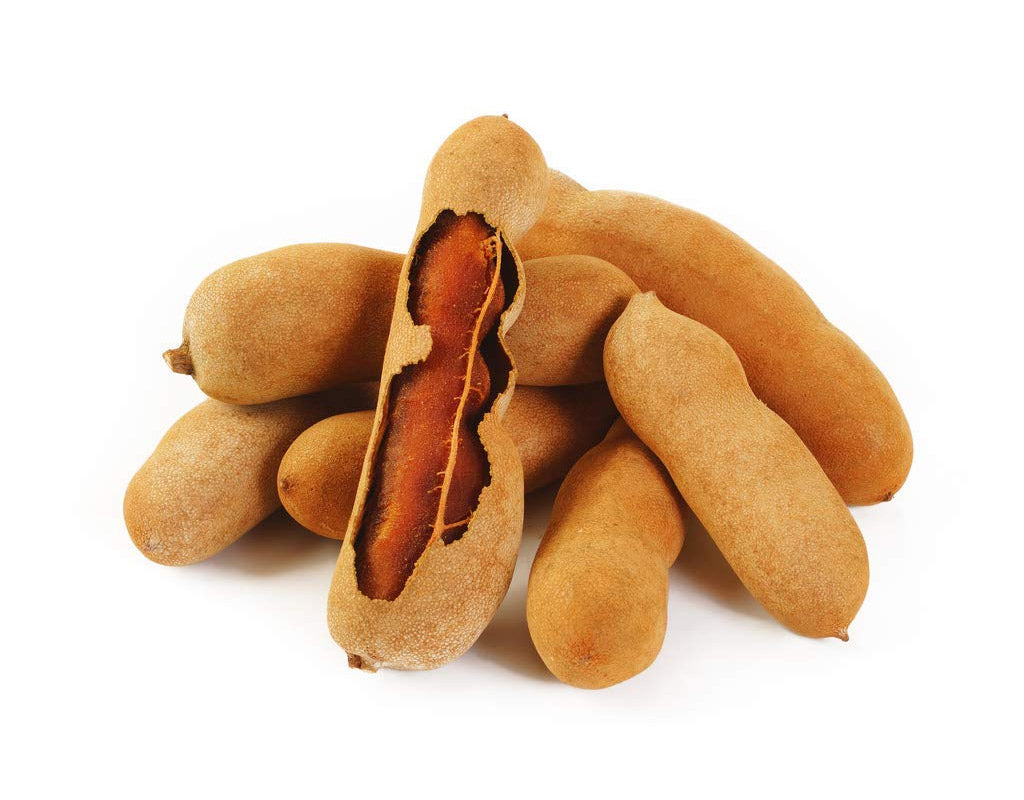 Sweet Tamarind Fruit Plant