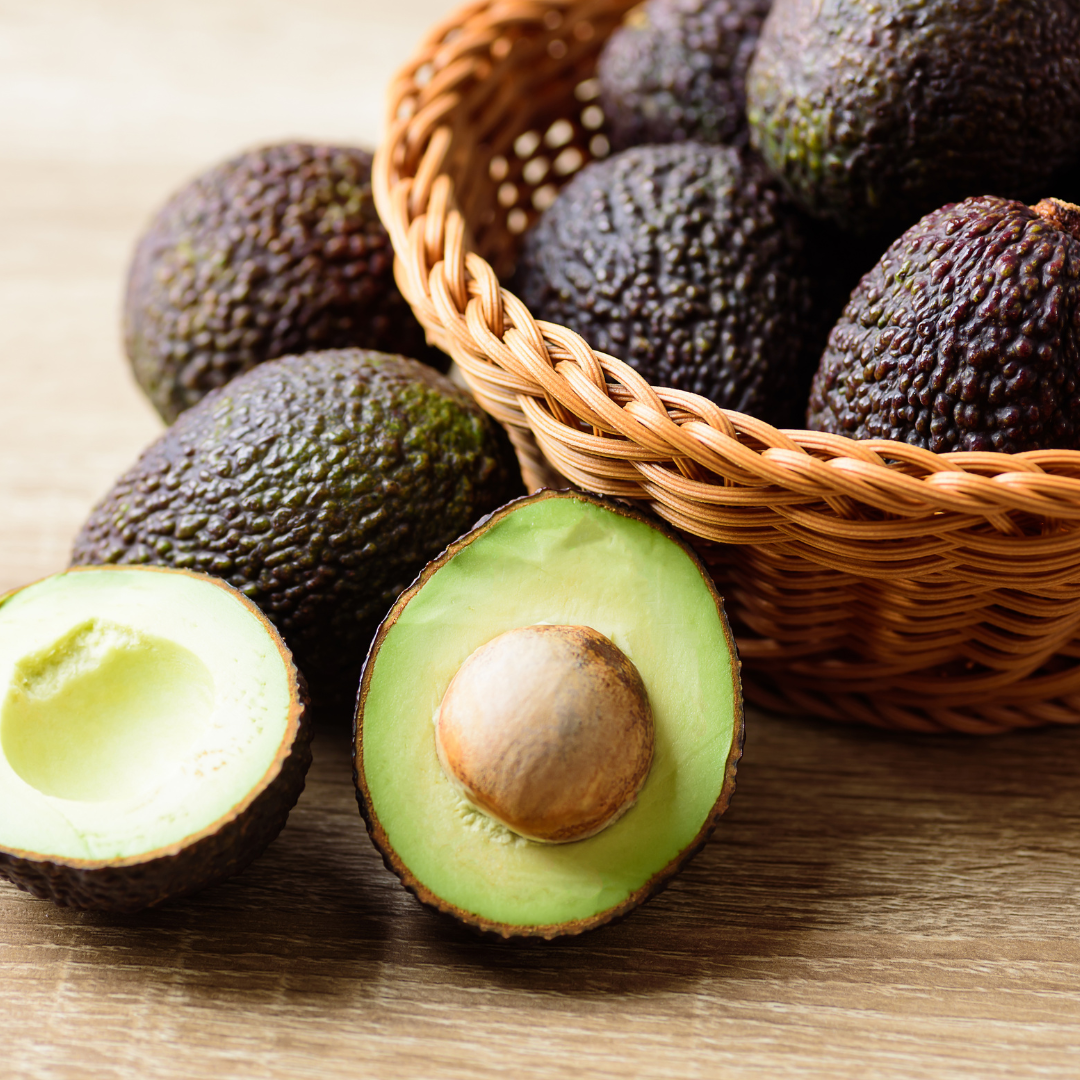 Lamb Hass Avocado Plant