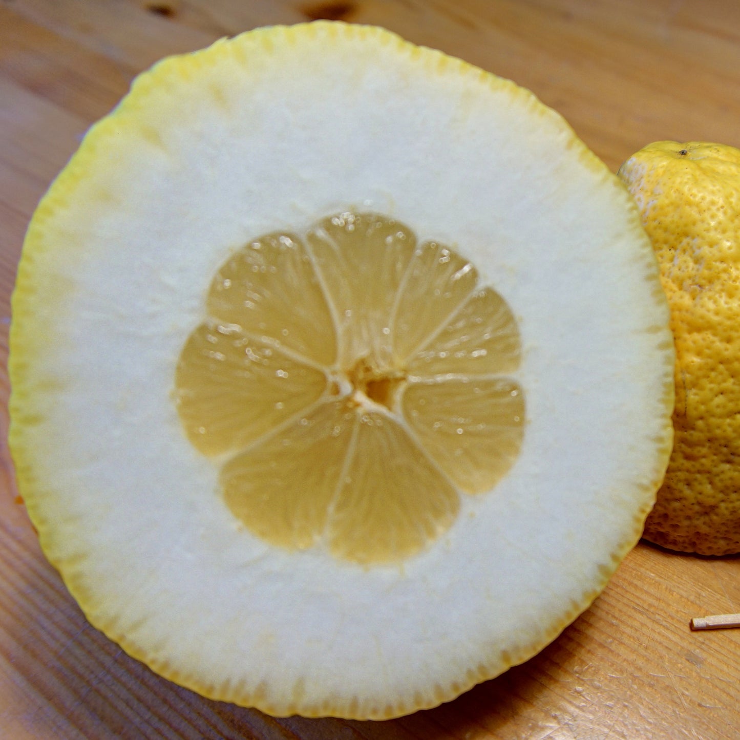 Ganapathy Lemon Fruit Plant