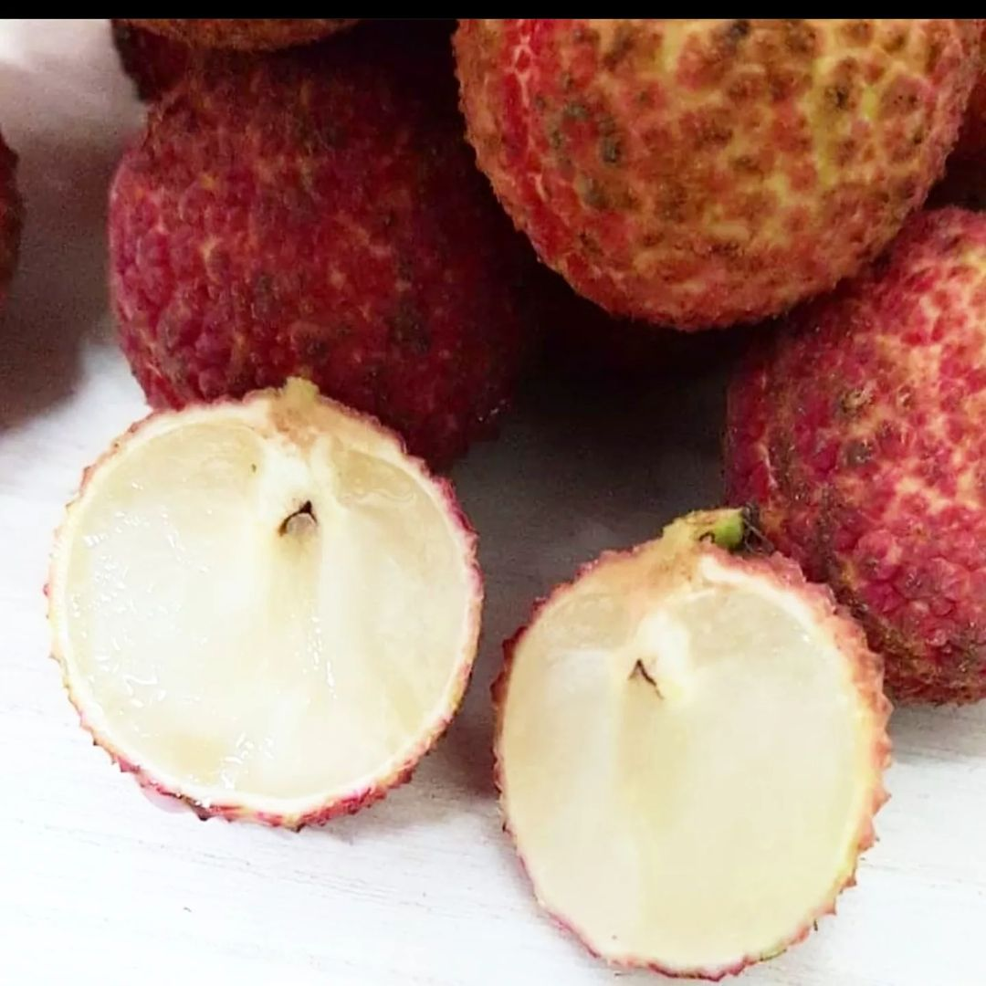Seedless Lychee Fruit Plant