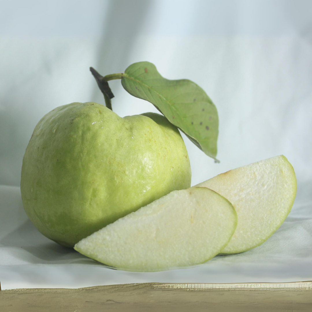 Allahabad Safeda Guava Fruit Plant