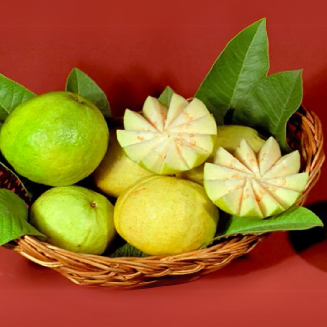 Arka Mridula Guava Fruit Plant