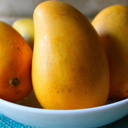 Ataulfo Mango Fruit Plant