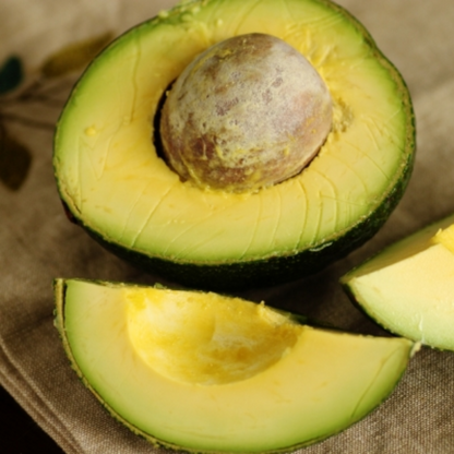 Reed Avocado Plant