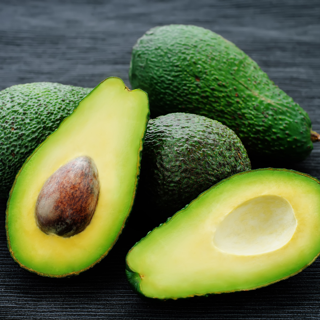 Sharwill Avocado Plant