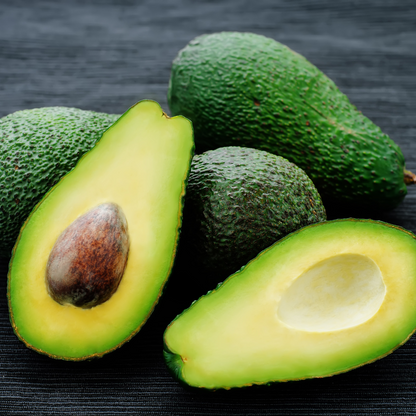 Sharwill Avocado Plant