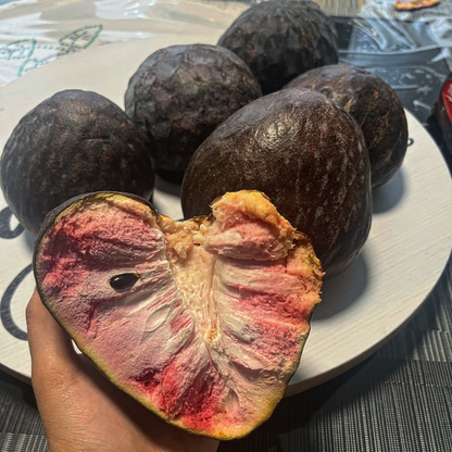 Black Custard Apple Fruit Plant
