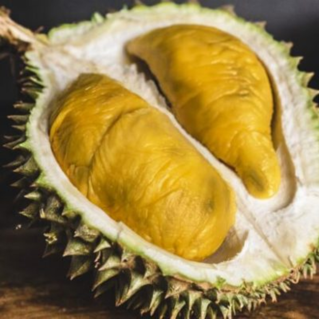 Black Gold Durian Fruit Plant