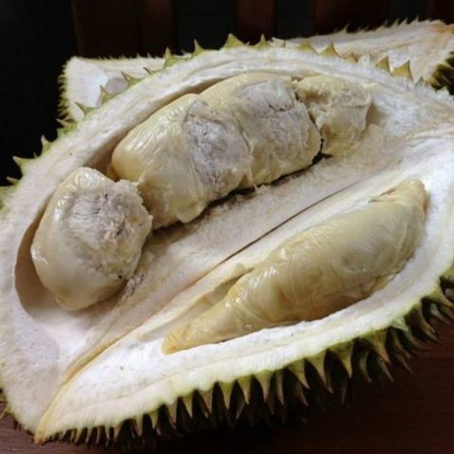 Black Pearl Durian Fruit Plant