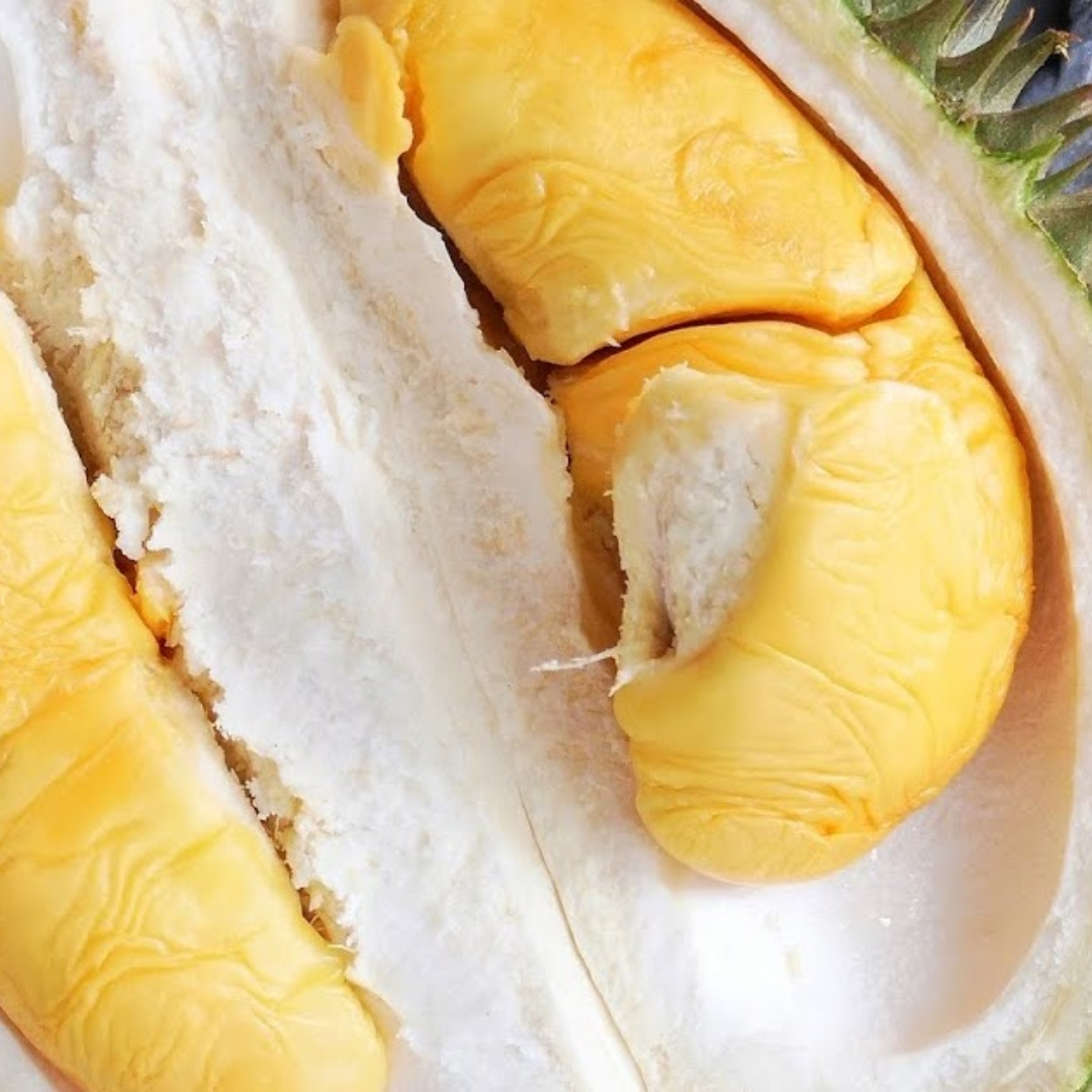 D101 Durian Fruit Plant