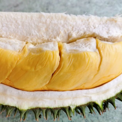 D101 Durian Fruit Plant