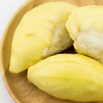 D24 Durian Fruit Plant