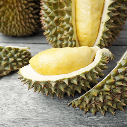 Dwarf Hybrid Durian Fruit Plant