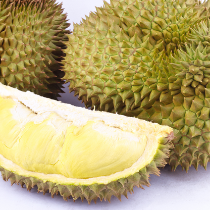 Mon Thong Durian Fruit Plant