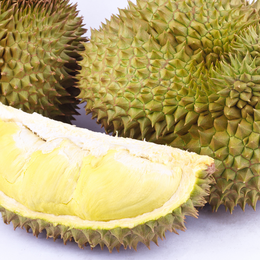 Mon Thong Durian Fruit Plant