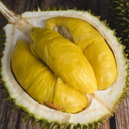 Musang King Durian Fruit Plant