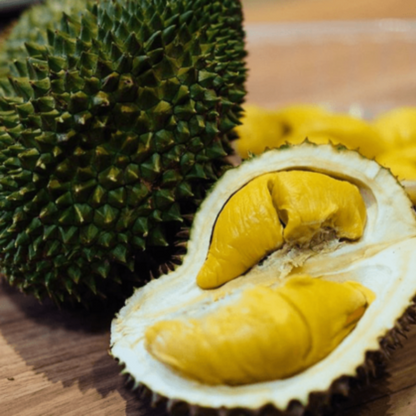 Musang King Durian Fruit Plant