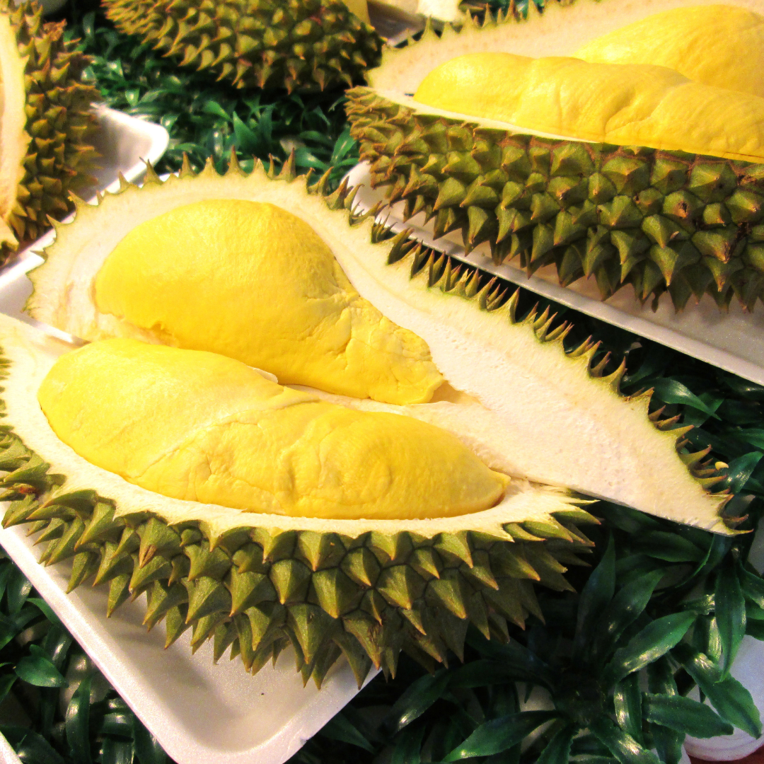 Nonthaburi Durian Fruit Plant