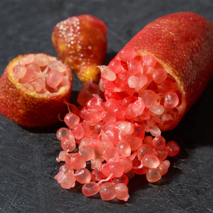 Red Australian Finger Lime Fruit Plant