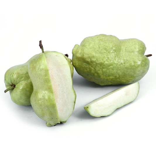 Indonesian Seedless Guava Fruit Plant