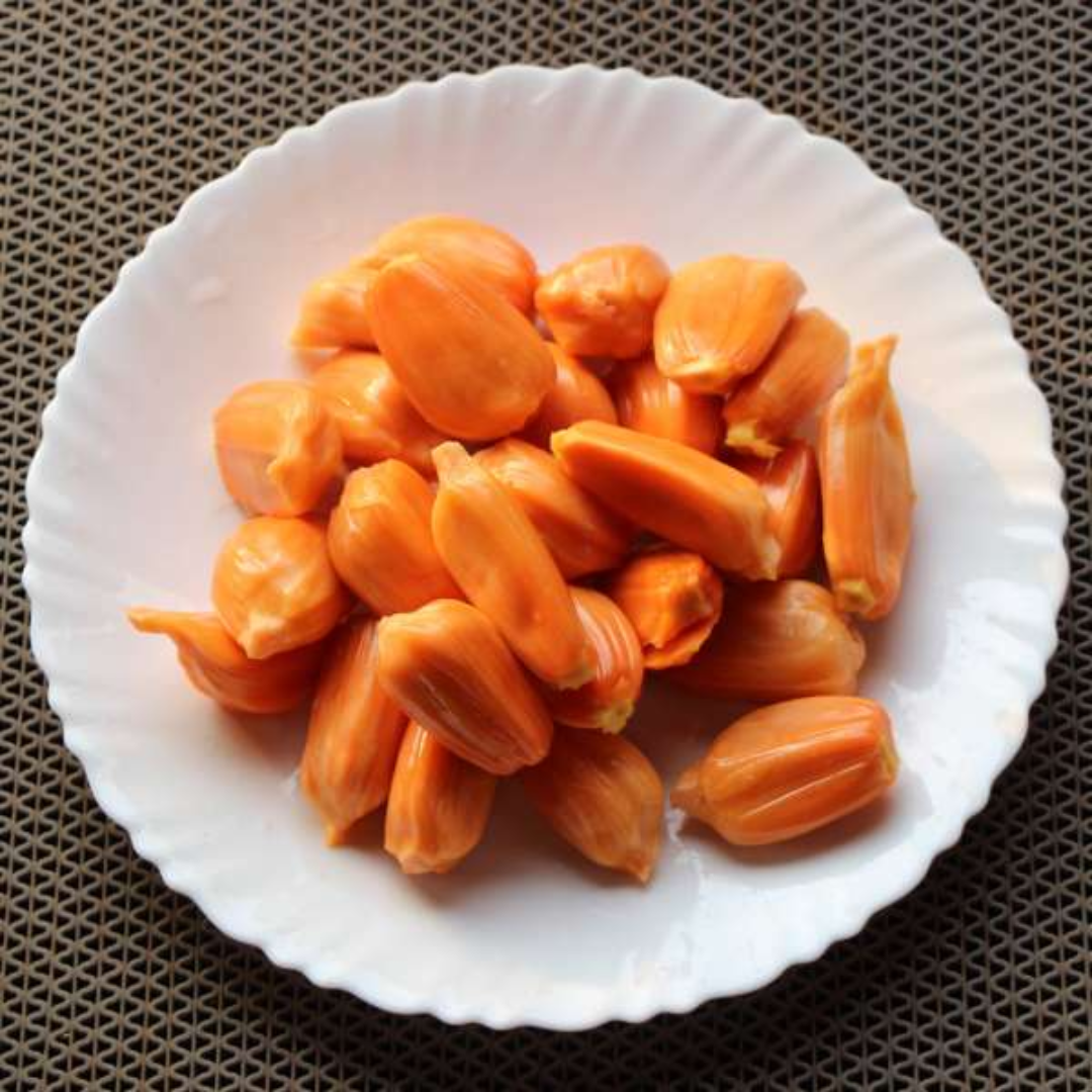 Daeng Surya Jackfruit Plant
