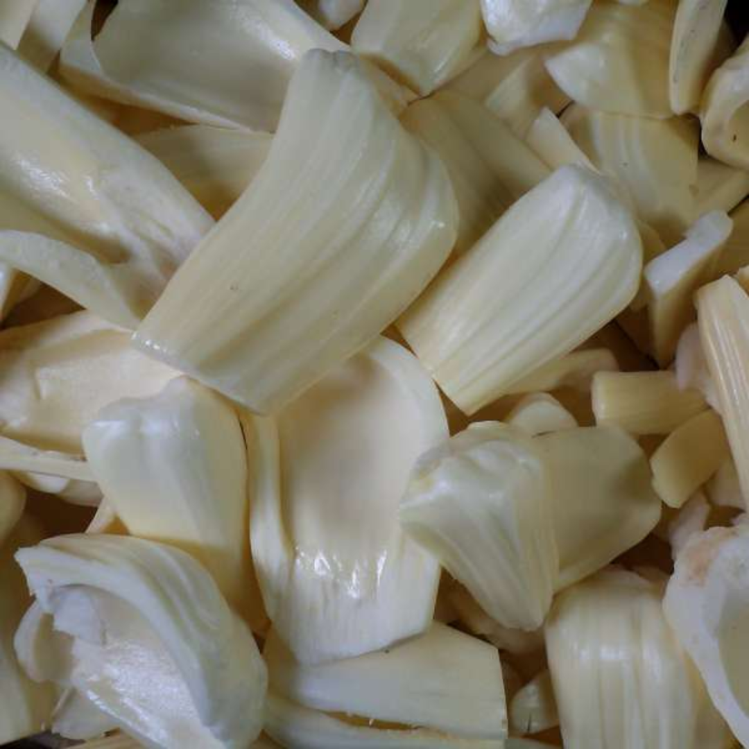 Gumless Jackfruit Plant