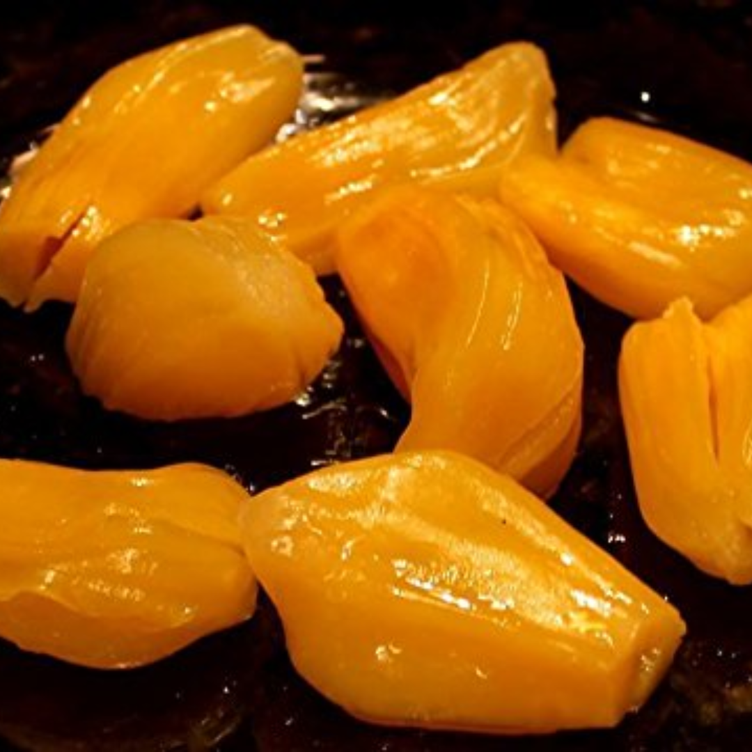 Honey Jackfruit Plant