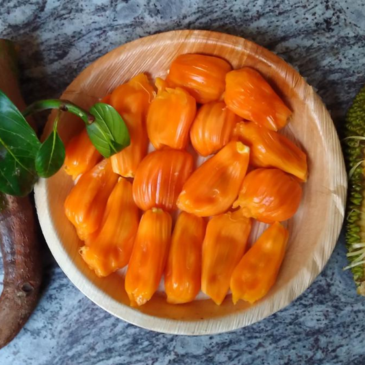 Siddhu Copper Red Jackfruit Plant