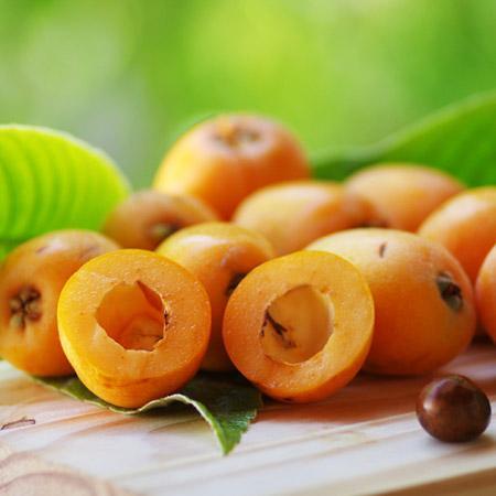 Loquat Japanese Plum Fruit Plant