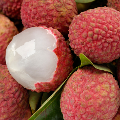 Bengal Lychee Fruit Plant