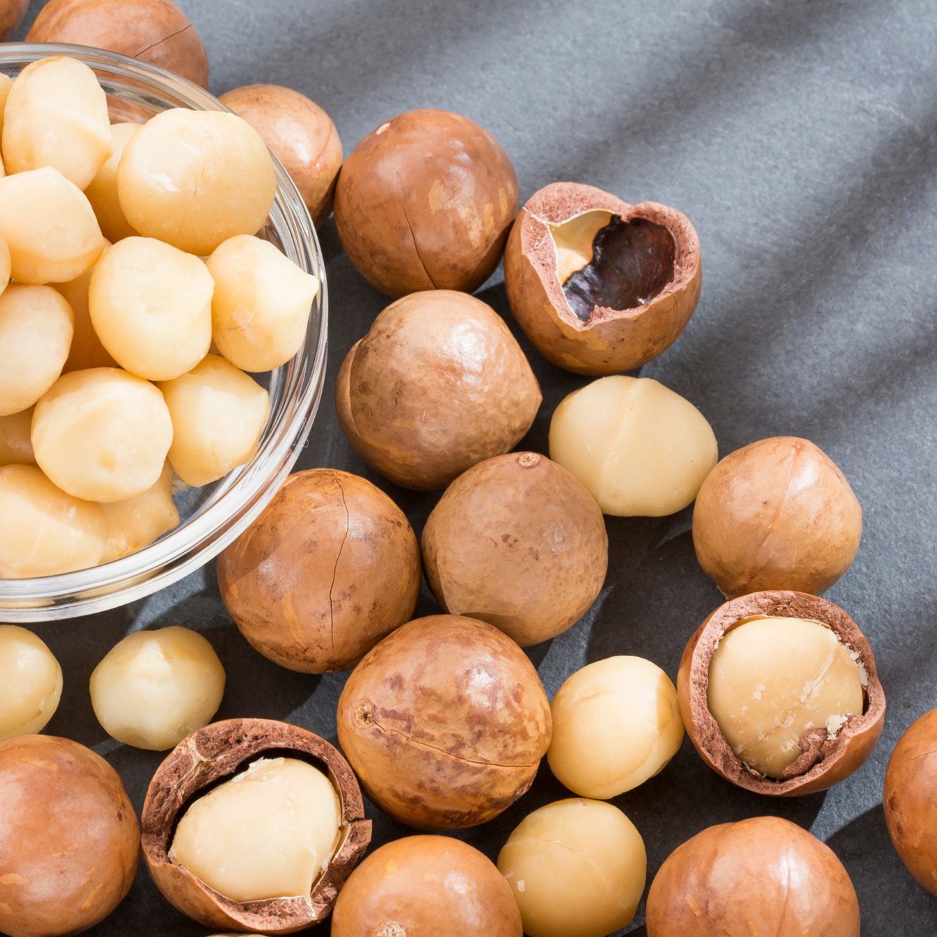 Macadamia Nut Fruit Plant