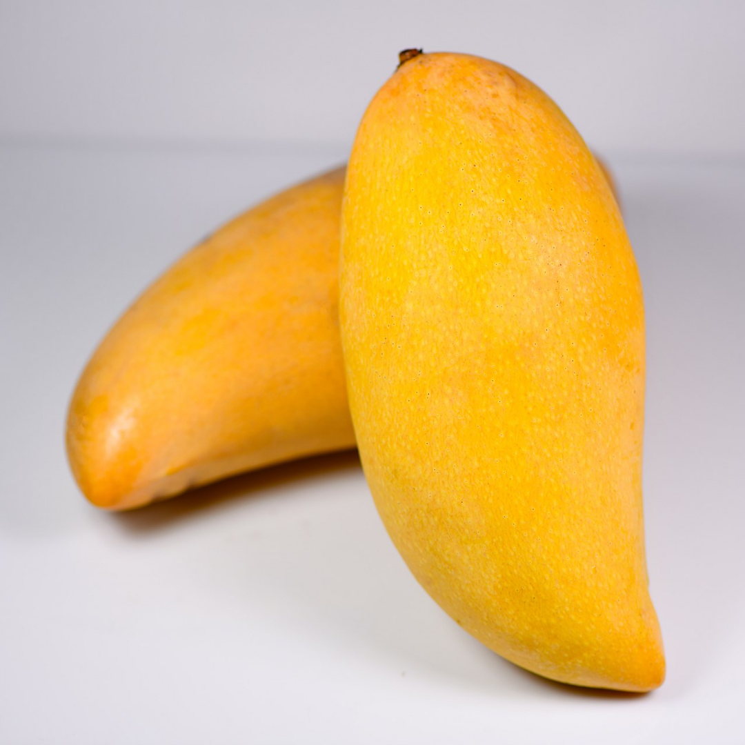 Yellow Nam Doc Mai Mango Fruit Plant