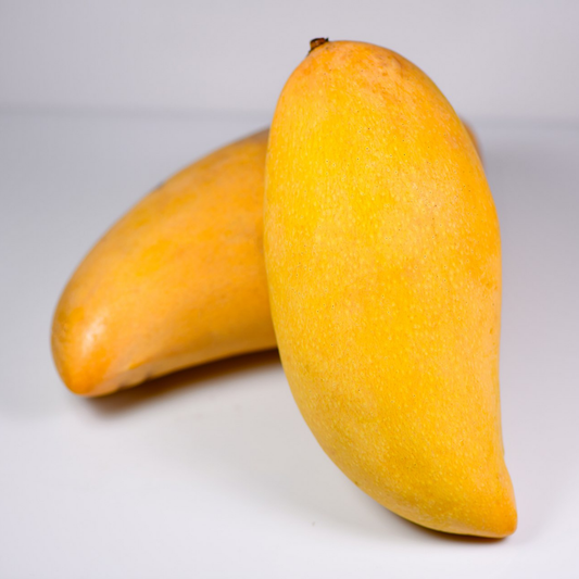 Yellow Nam Doc Mai Mango Fruit Plant