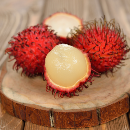 Jumbo KG10 Rambutan Fruit Plant