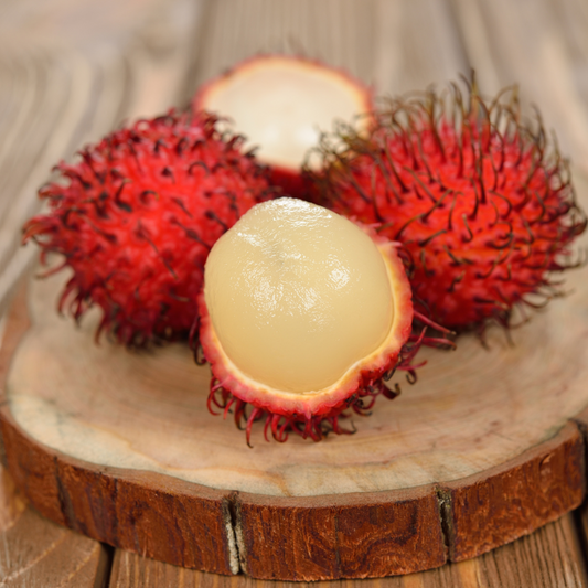 Jumbo KG10 Rambutan Fruit Plant