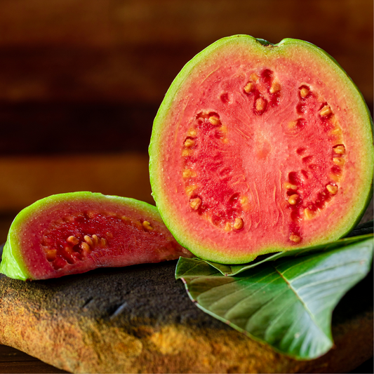 Red Flesh Guava Fruit Plant