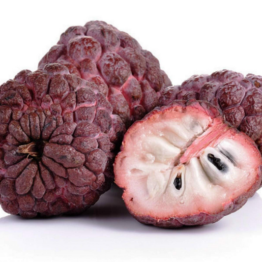 Red Sitafal Sugar Apple Fruit Plant