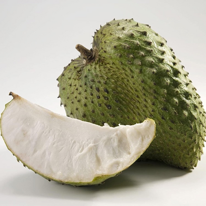Giant Soursop Fruit Plant