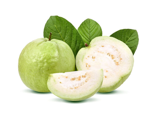 Taiwan White Guava Fruit Plant